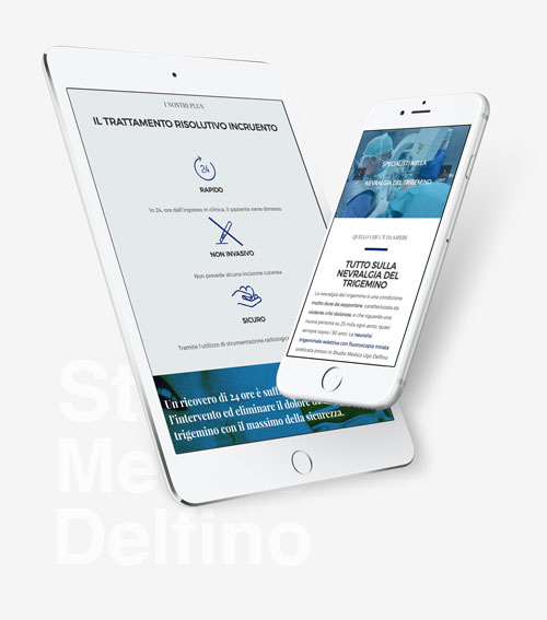 Delfino Medical Study: Wordpress website development